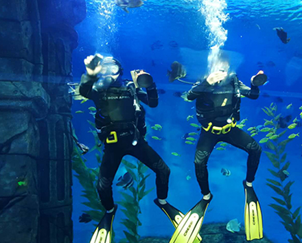 售后支持（提供水下打磨服务）