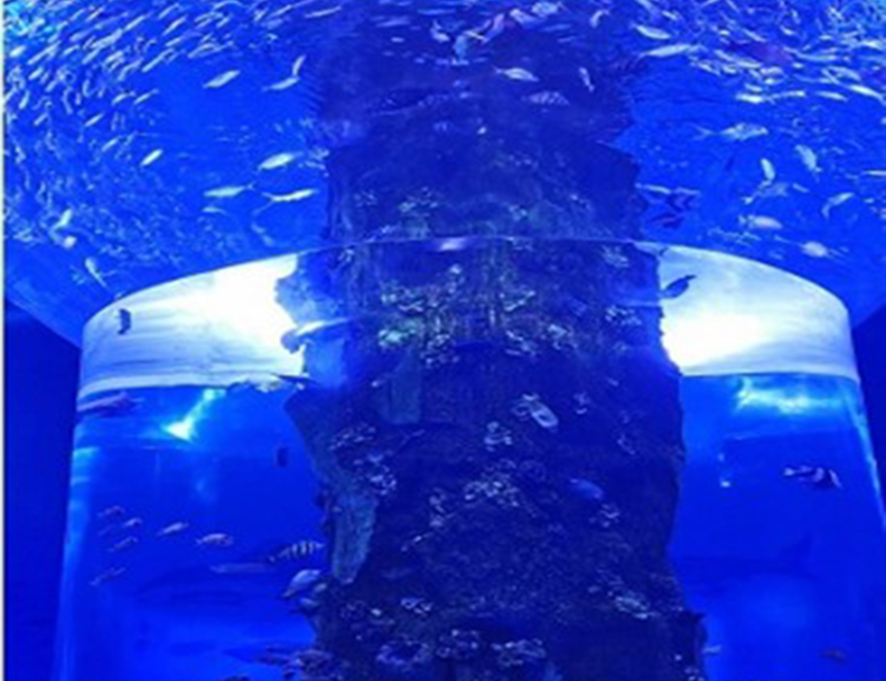 新华联国际旅游城童梦乐园海洋馆