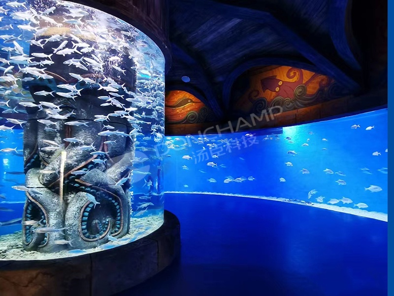 哈尔滨波塞冬海洋王国